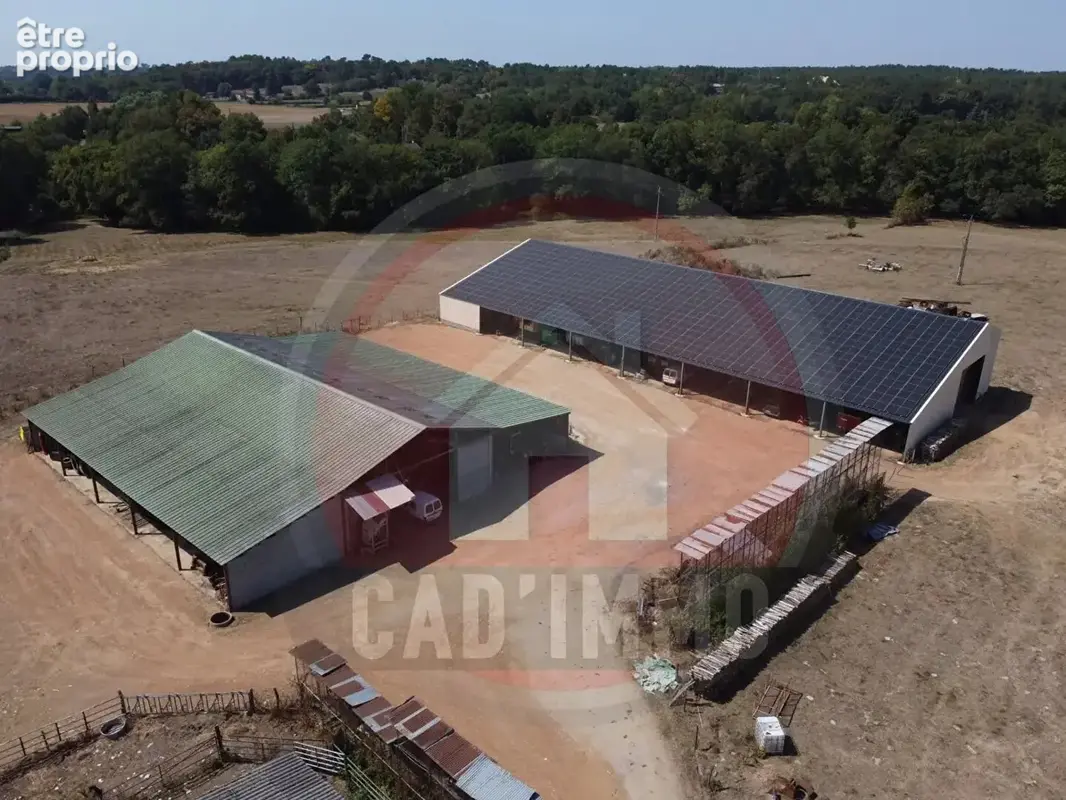 Domaine agricole avec puits, Électricité. - photo 4