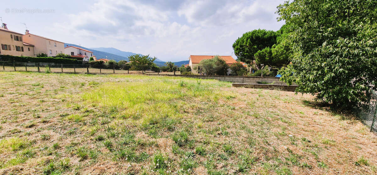 Terrain à LE PERTHUS