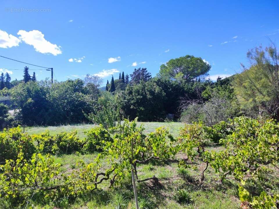 Terrain à PUGET-VILLE