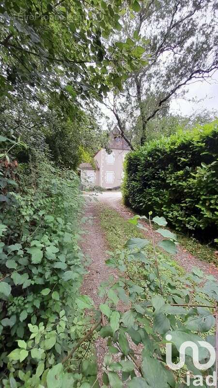 Photo 3 - Maison à PRADINES