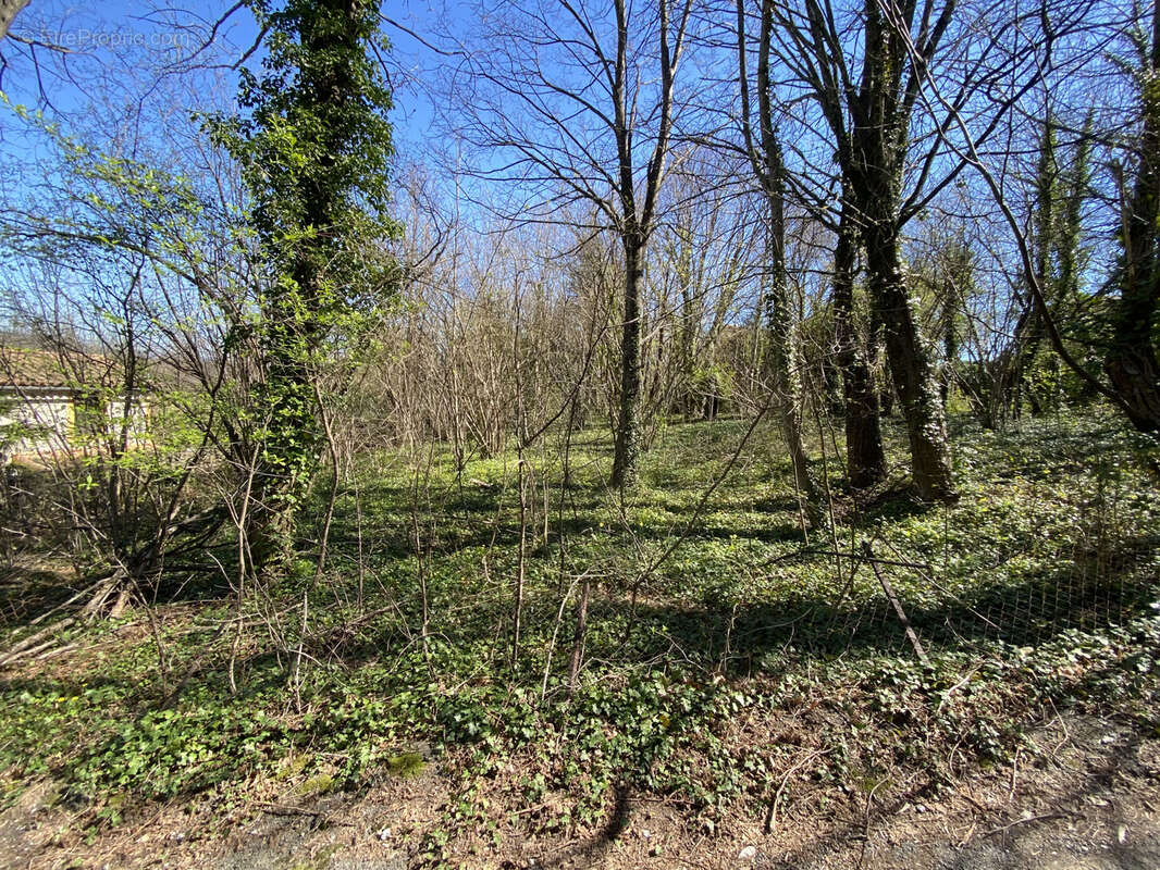 Terrain à BREAU-ET-SALAGOSSE