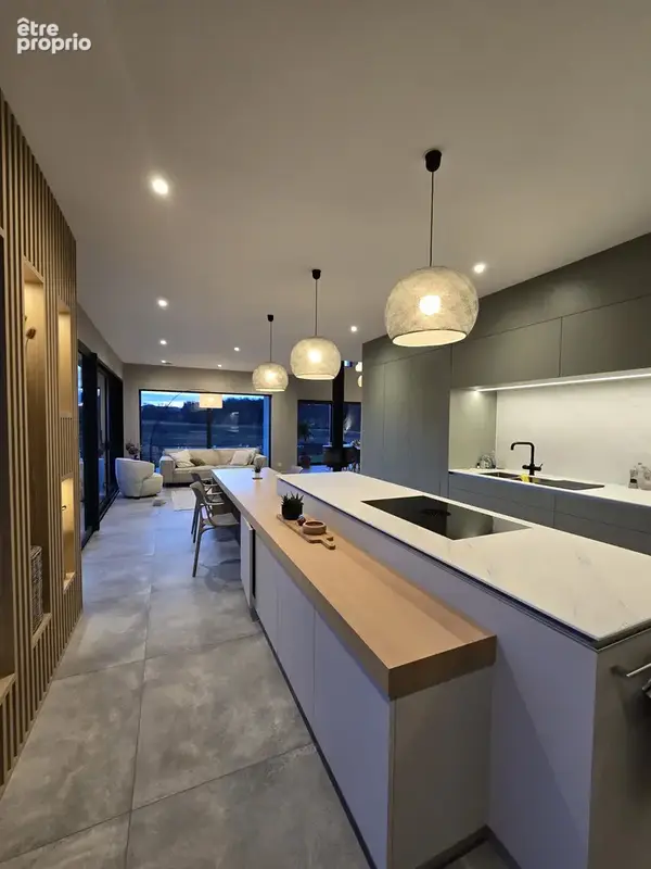 Maison contemporaine d’exception, 8 pièces, 255 m2 sur un terrain de 23 ares avec un étang - photo 6