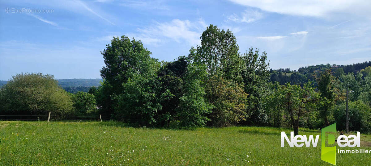 Terrain à TULLE