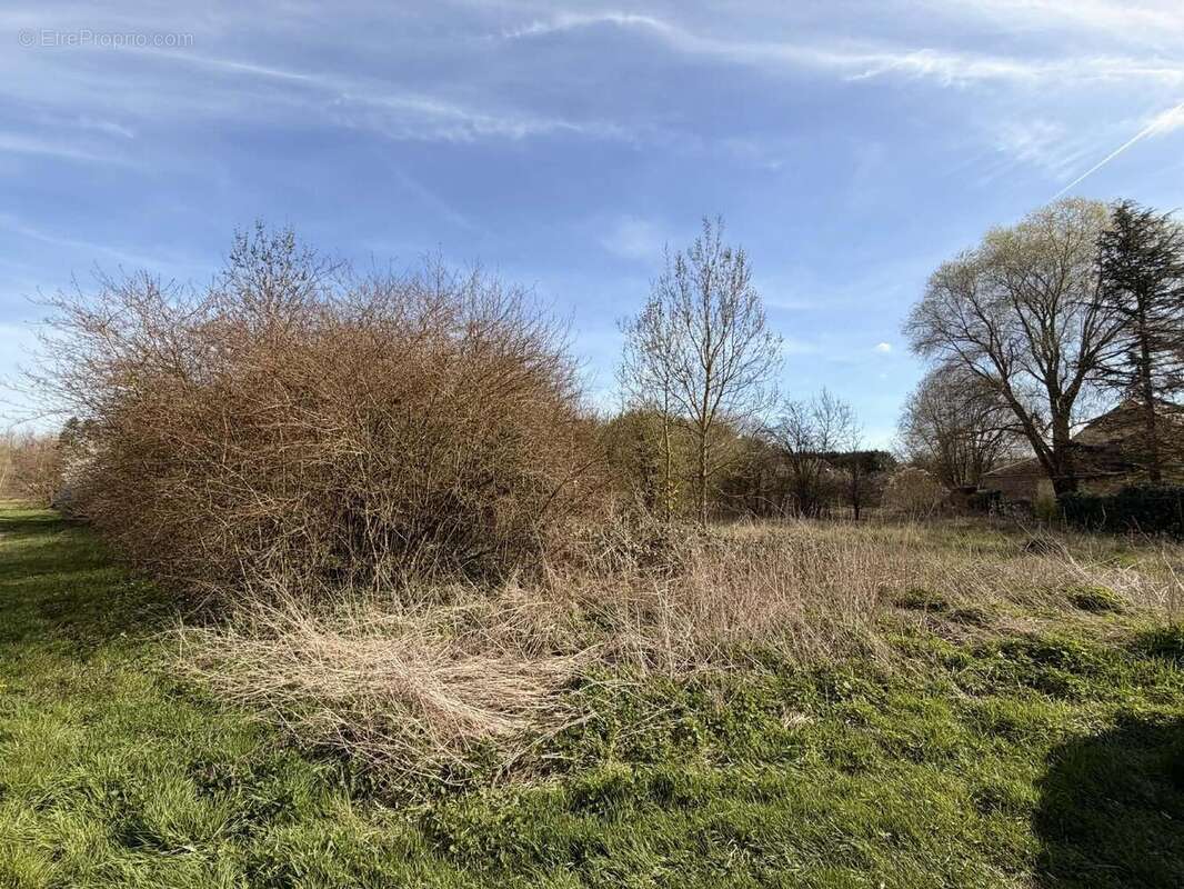 Il est facilement divisible - Terrain à BRUYERES-ET-MONTBERAULT