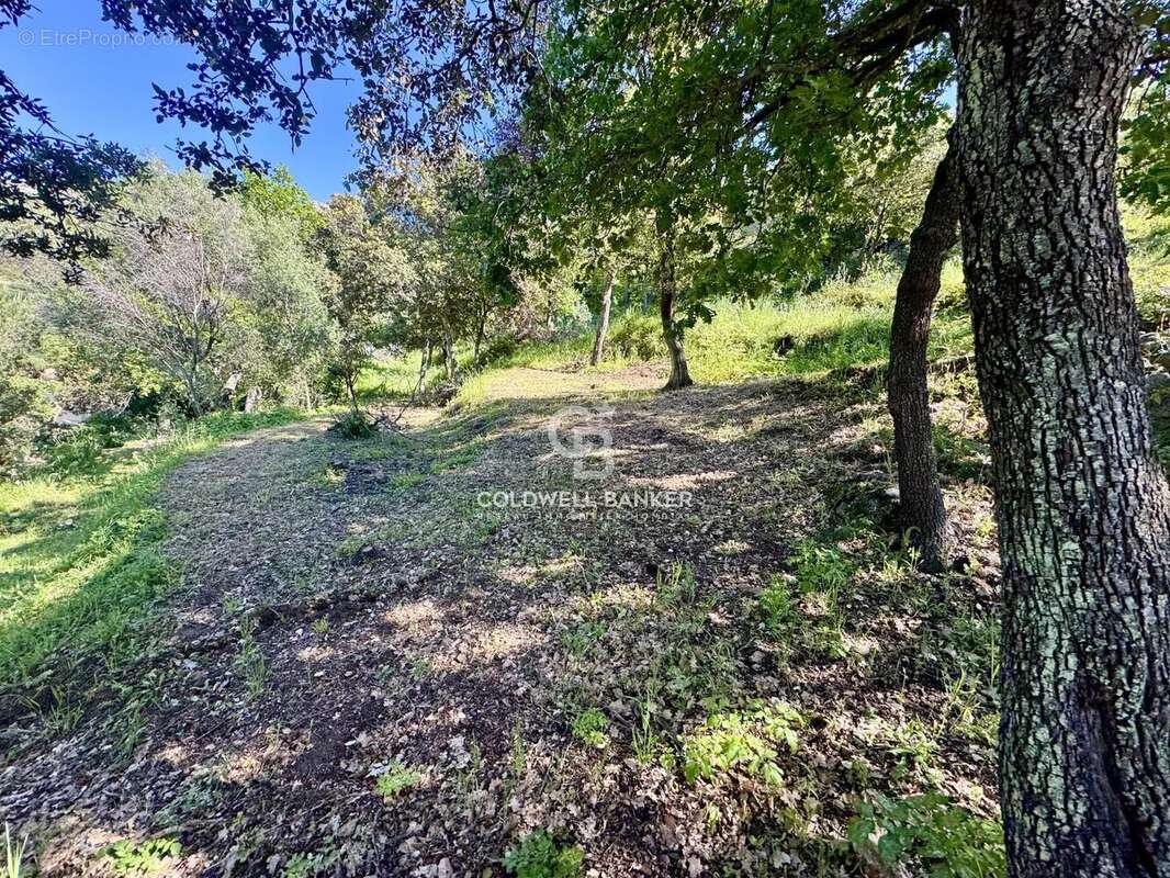 Terrain à MONTICELLO