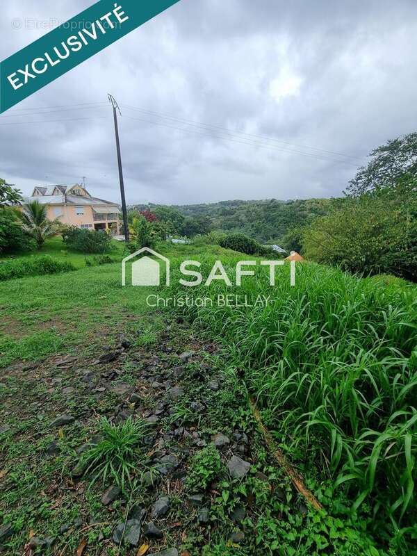Photo 9 - Terrain à LE LAMENTIN