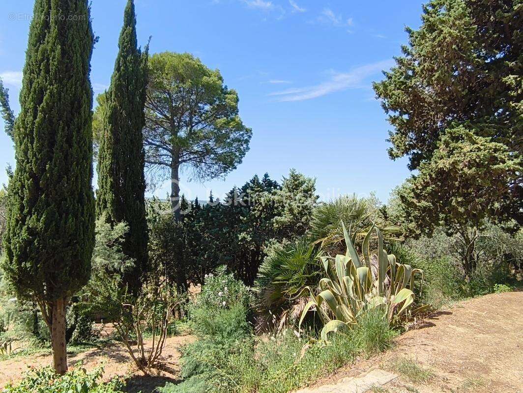 Domaine de 2 hectares - photo 6