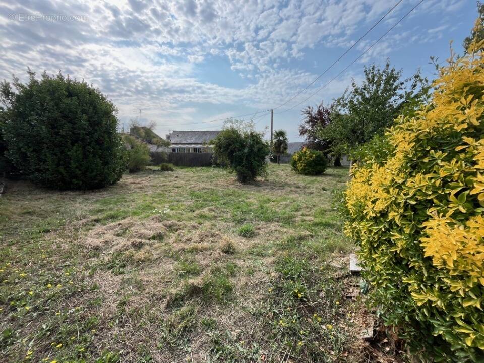 Terrain à BEAUPREAU