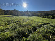 Terrain à BALAGUIER-D&#039;OLT
