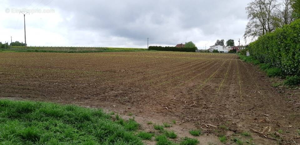 Terrain à SAINT-HILAIRE-LEZ-CAMBRAI