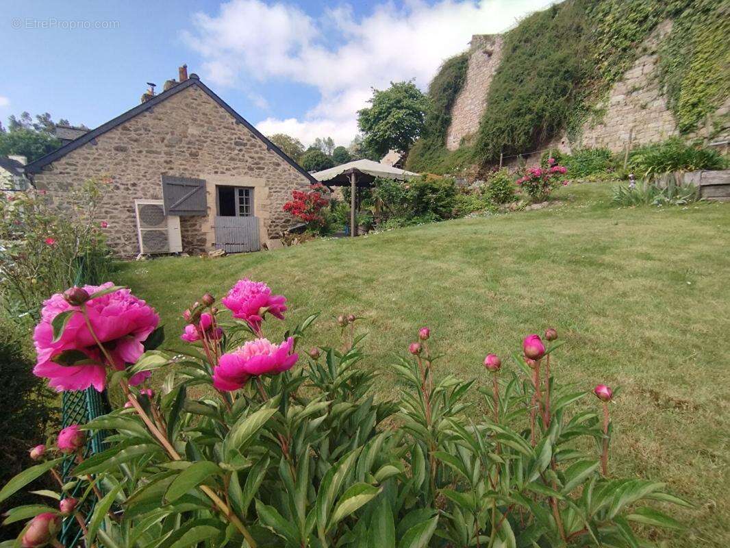 Maison à MONCONTOUR