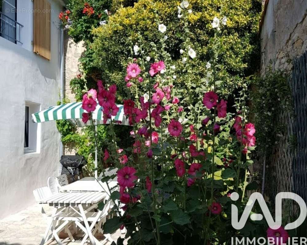 Photo 3 - Maison à SAINT-MARTIN-DE-RE