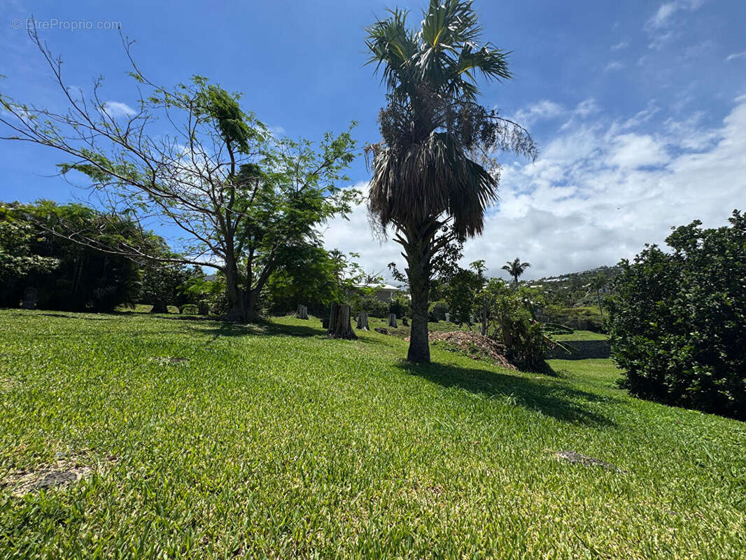 Terrain à SAINT-DENIS