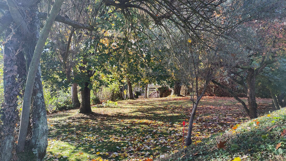 Terrain à CHAZAY-D&#039;AZERGUES