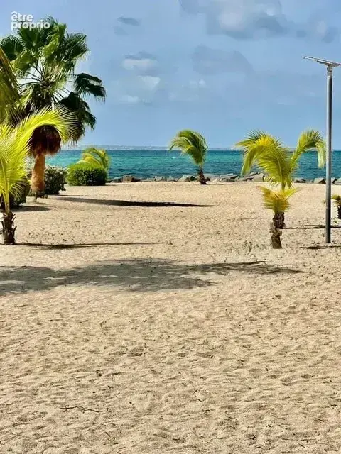 Joli studio baie nettle beach a saint martin - photo 10
