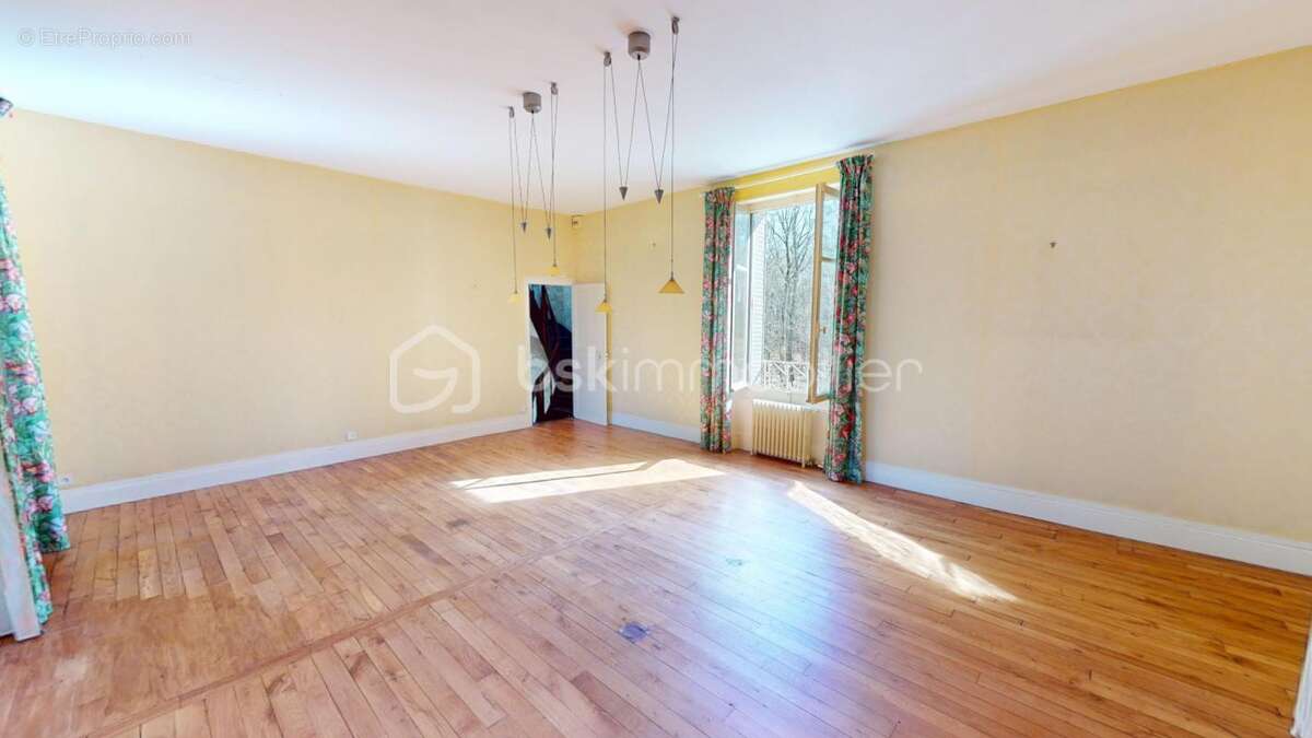 Maison à OUZOUER-SUR-TREZEE