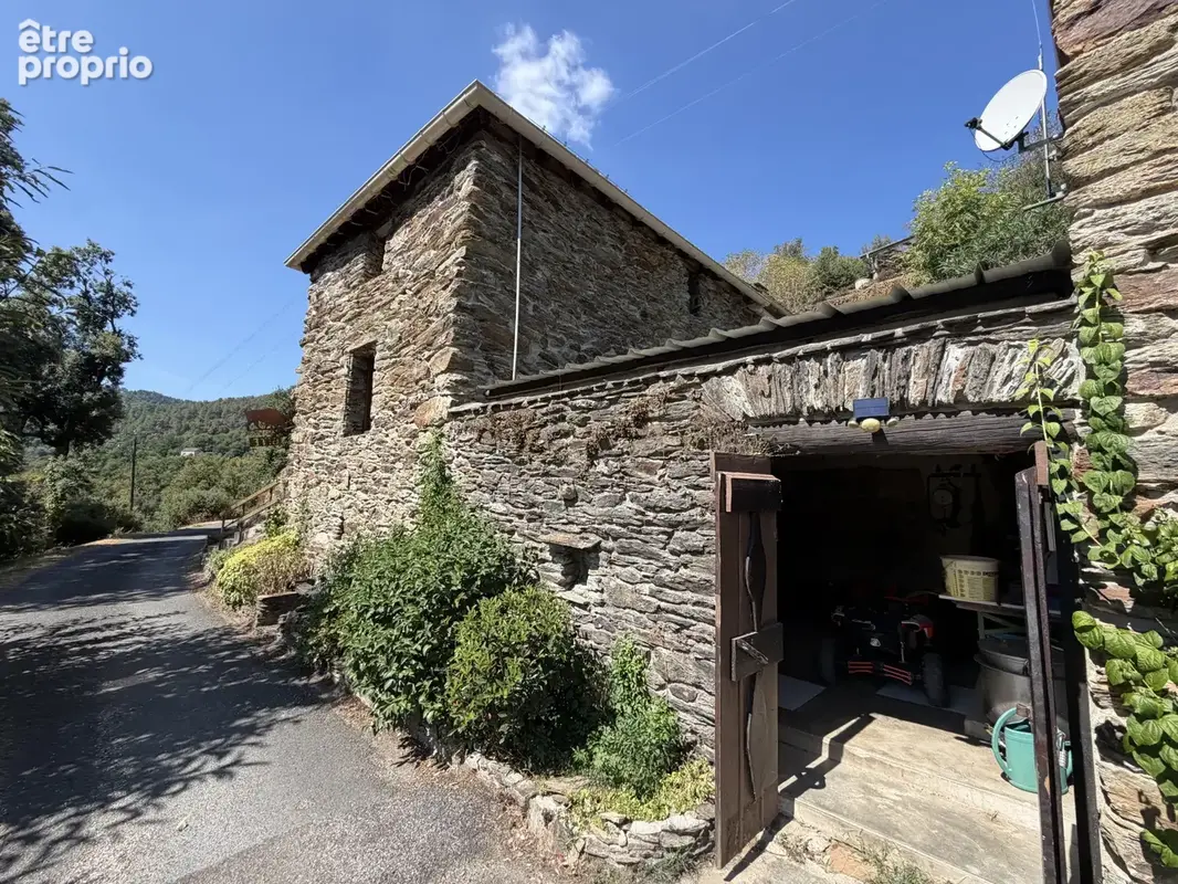 Mas cévenol de caractère - photo 4
