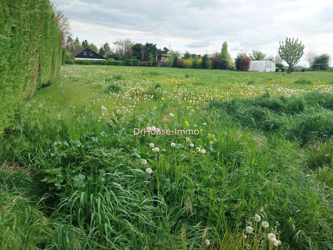 Terrain à SAINGHIN-EN-MELANTOIS