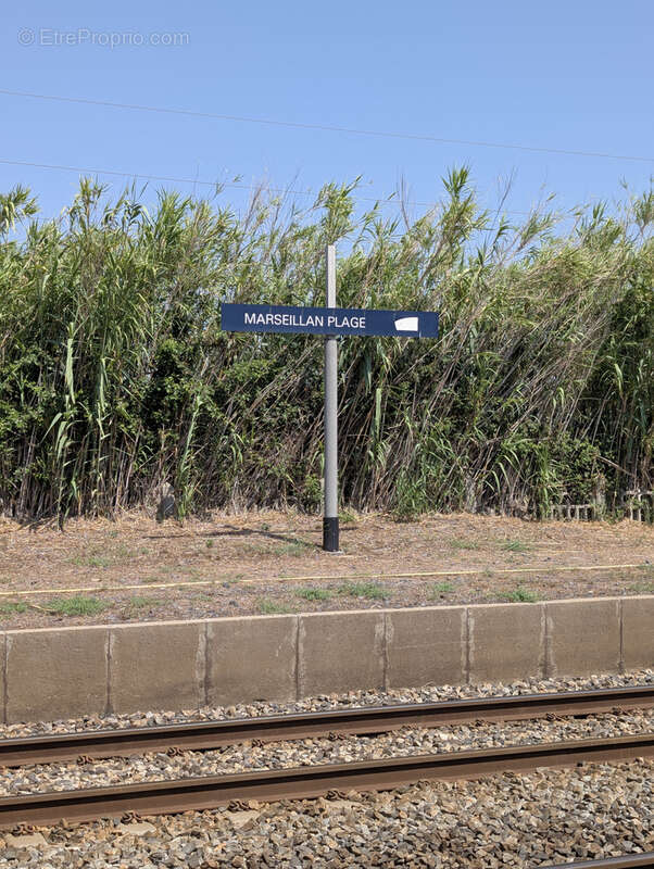 Appartement à MARSEILLAN