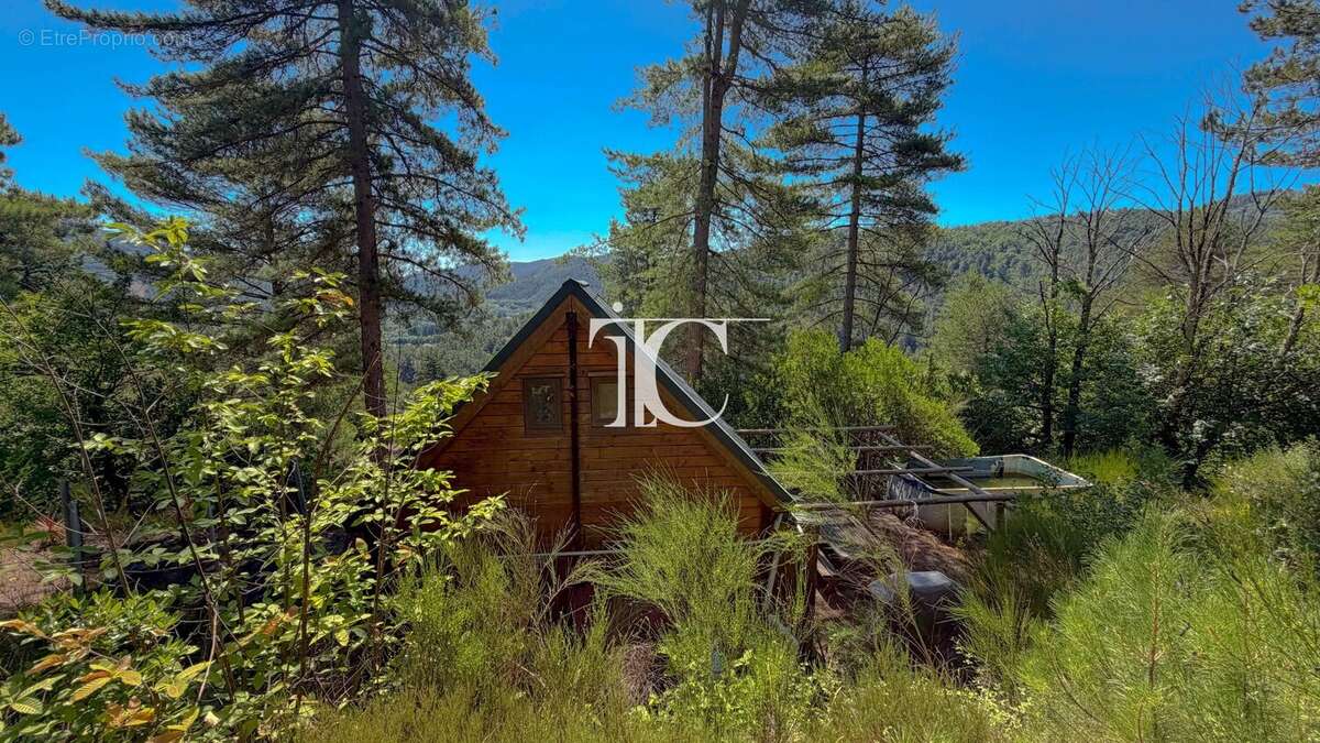 Petit chalet en pleine nature  20 m² habitables  Terrain constructible de 3 846 m² - photo 8