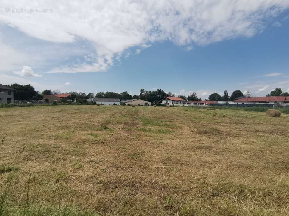 Terrain à JUILLAN