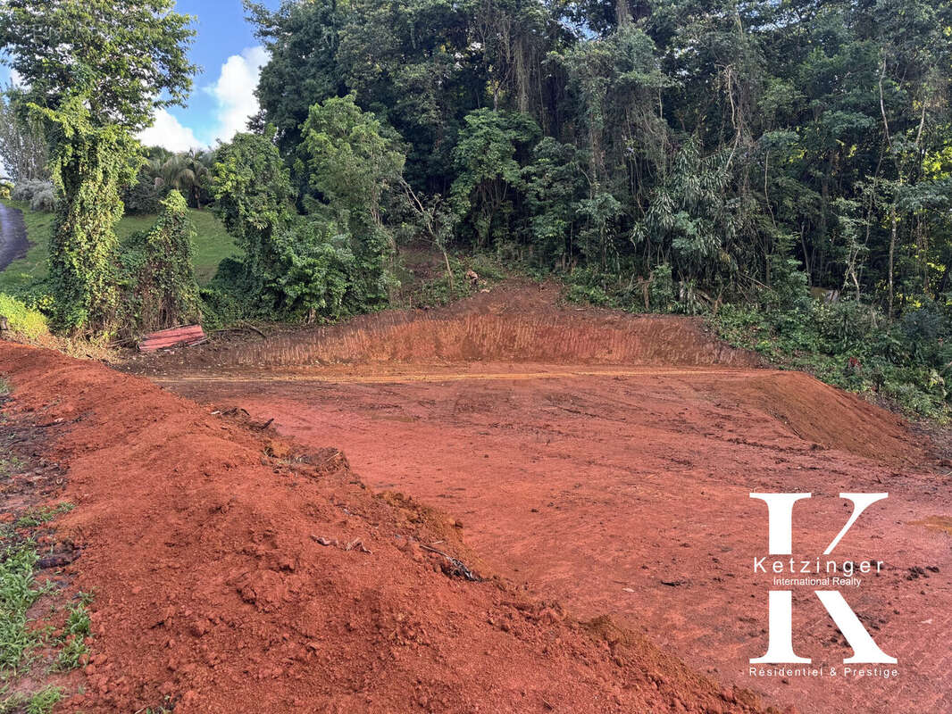 Terrain à LE LAMENTIN