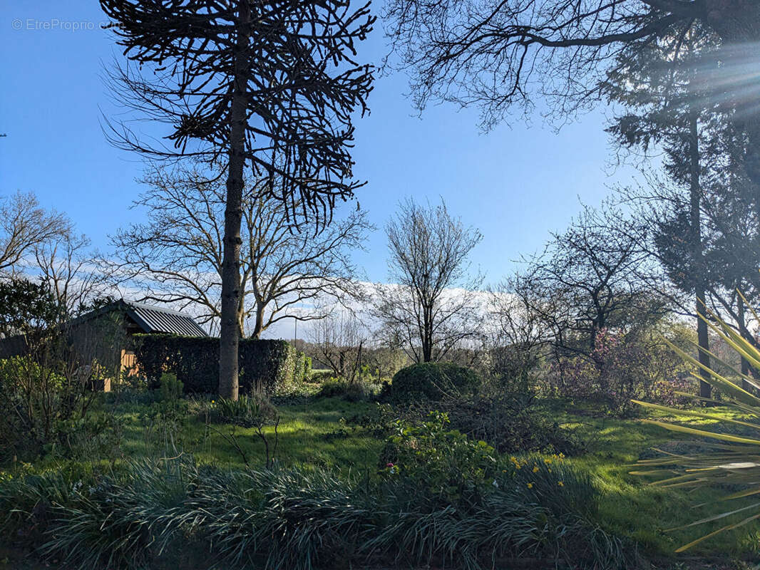 Maison à LANOUEE