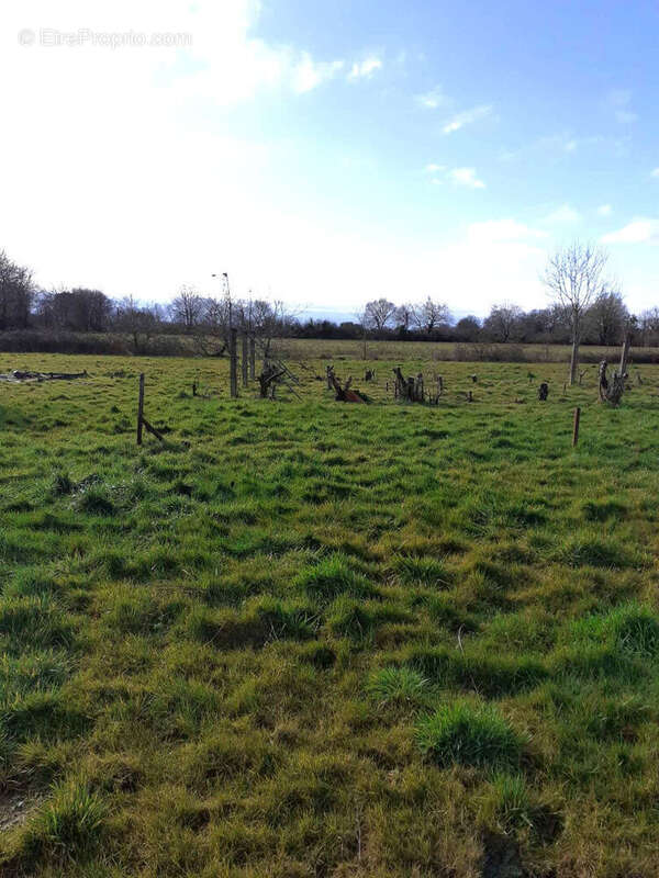 Terrain à TALMONT-SAINT-HILAIRE