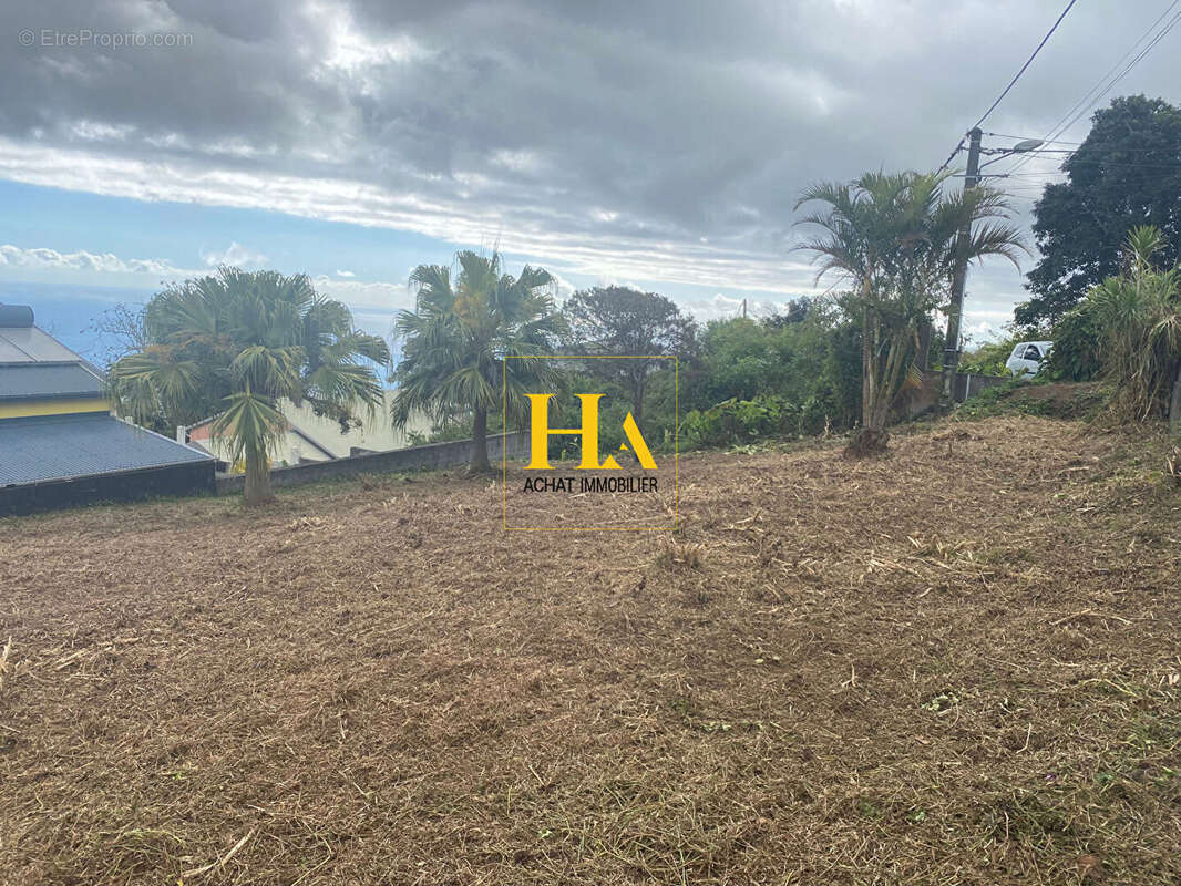 Terrain à SAINT-LEU