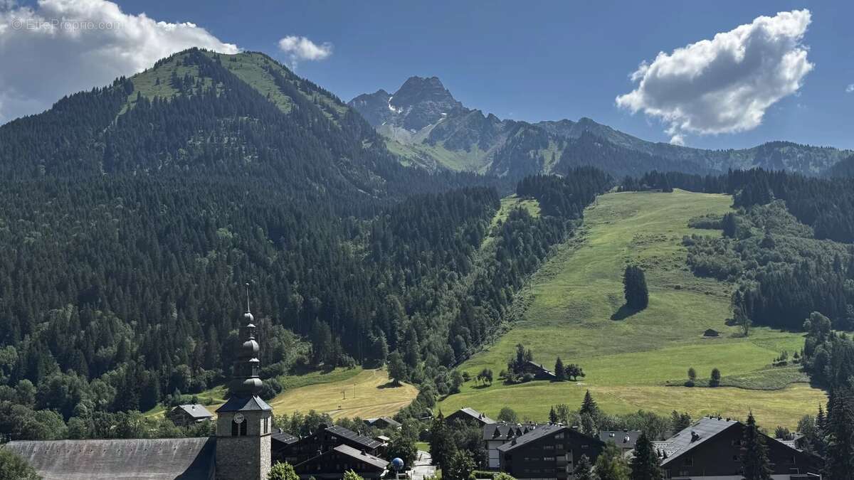 Terrain à LA CHAPELLE-D'ABONDANCE