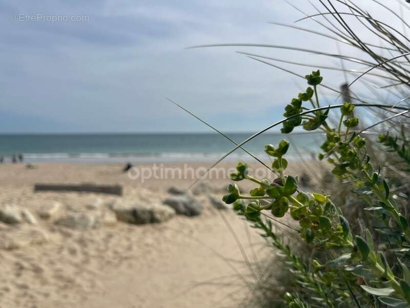 Maison à LE BOIS-PLAGE-EN-RE