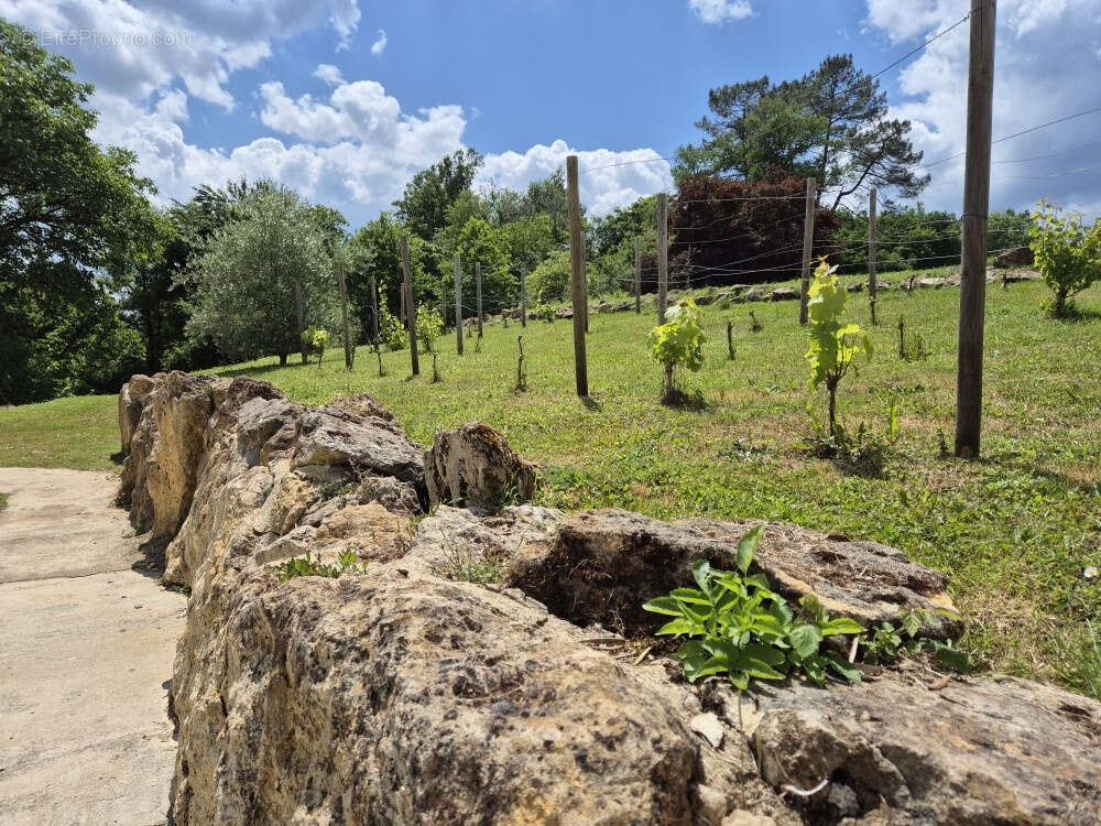 Maison à SAINT-JEAN-D'EYRAUD