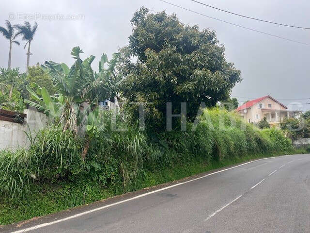 Terrain à LES AVIRONS