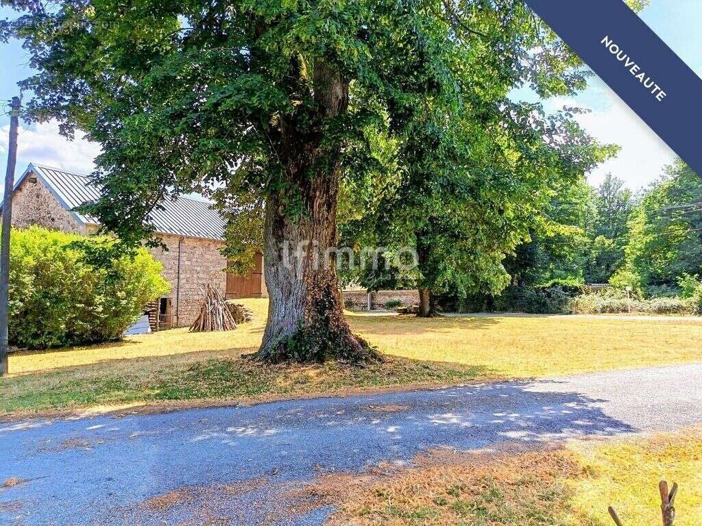 Maison en pierres - photo 2
