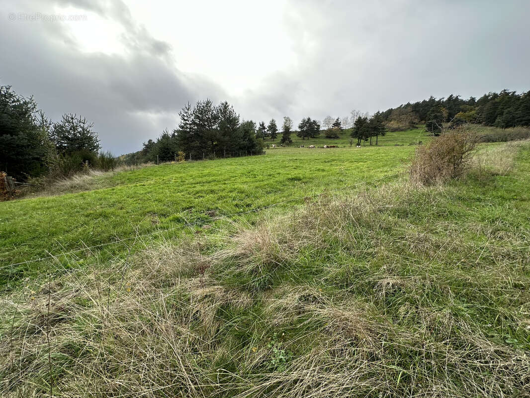 Terrain à PONT-SALOMON