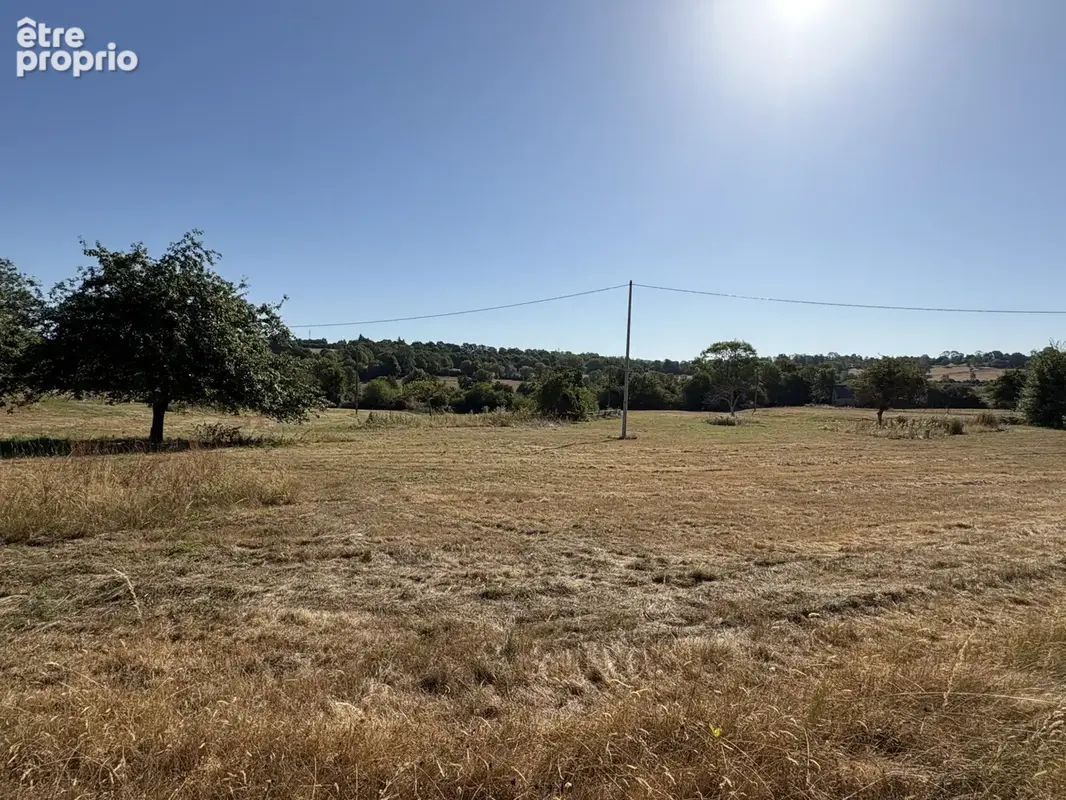 Propriété de 3 hectares - photo 20