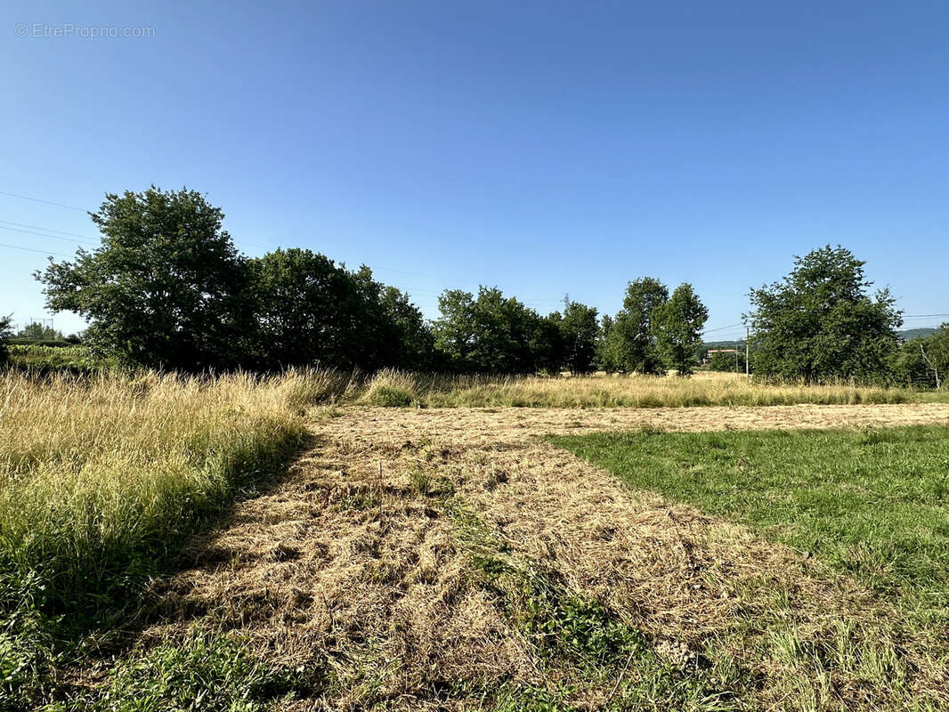 Terrain à CUNAC