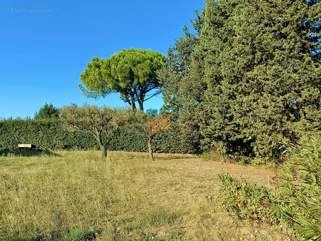 Terrain à MEYNES