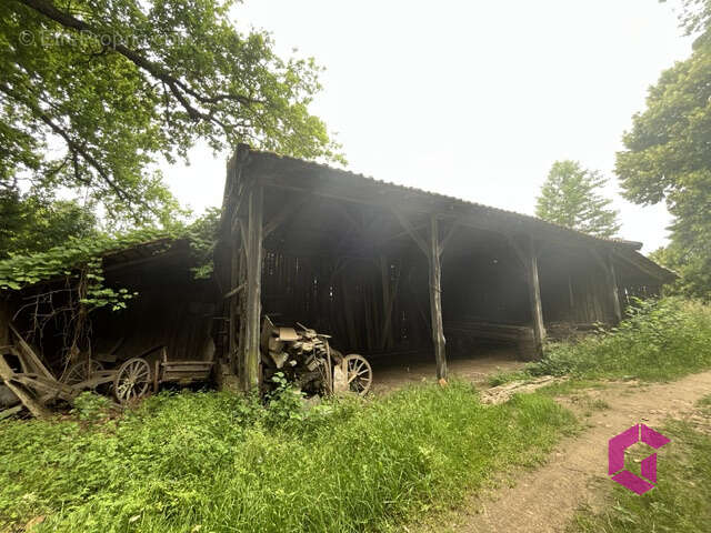 Ferme avec grand potentiel sur plus de 8 ha, possibilité exploitation agricole bio - photo 13