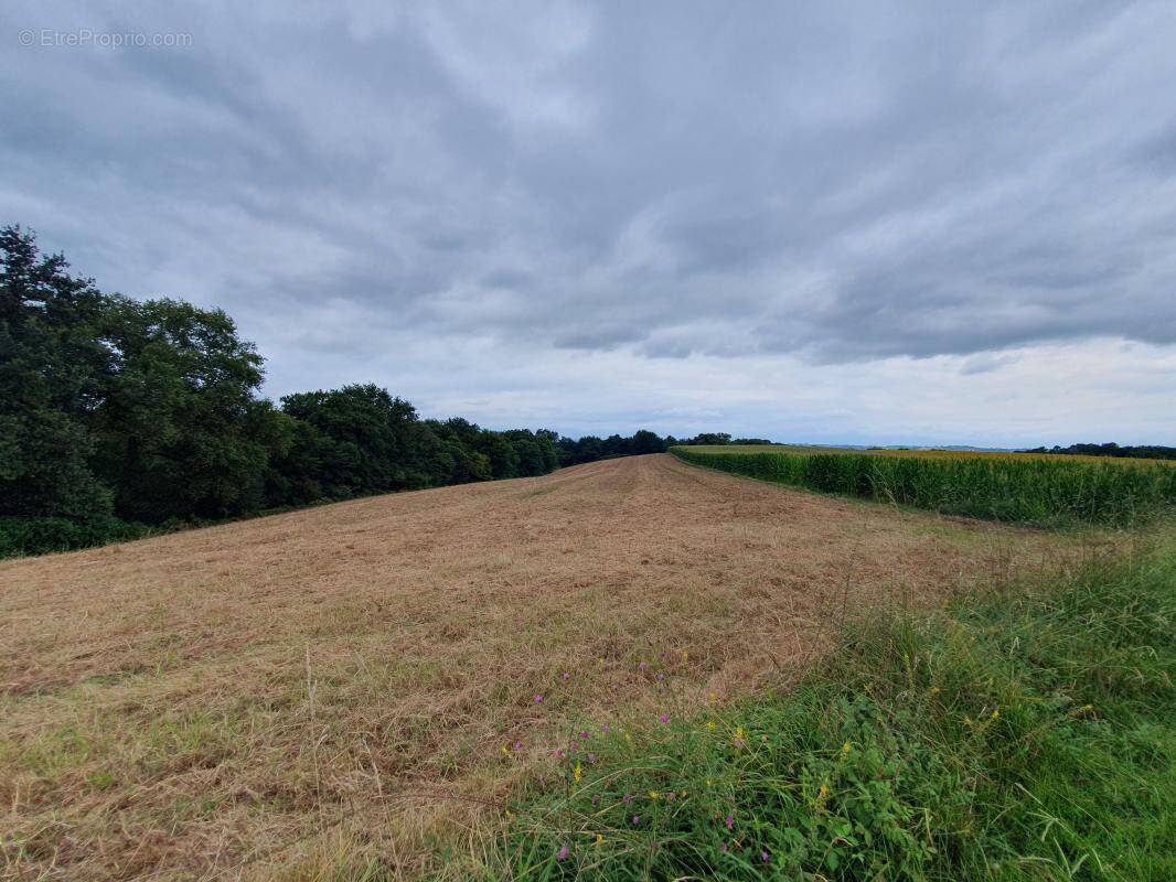 Terrain à SAULT-DE-NAVAILLES