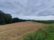 Terrain à SAULT-DE-NAVAILLES