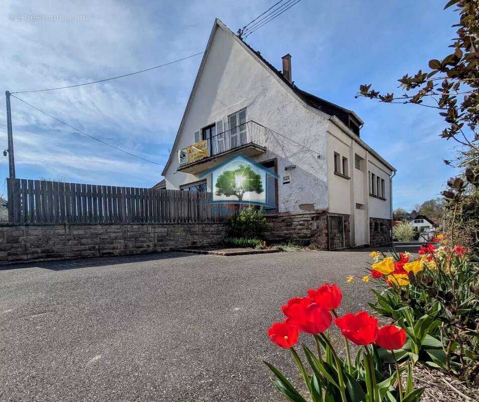 Maison à BOUXWILLER