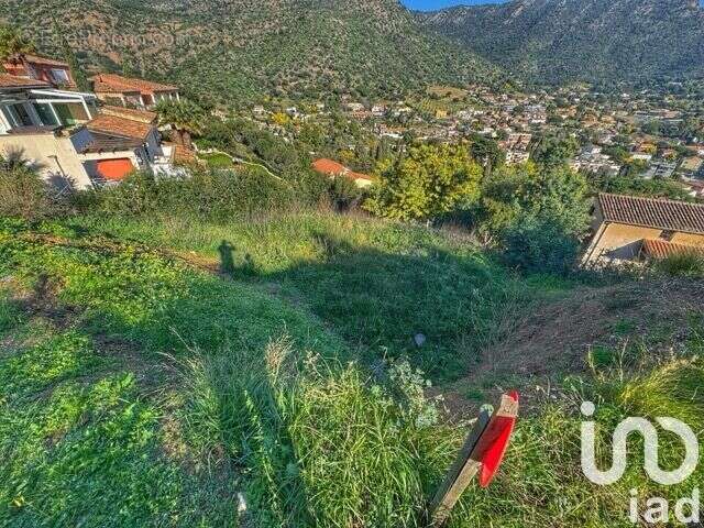 Photo 3 - Terrain à LE LAVANDOU
