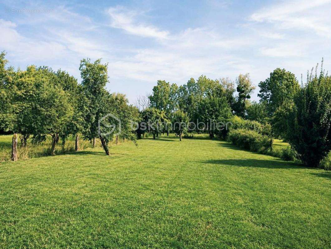 EXCLUSIVITÉ – AMAGNE – Maison de caractère des années 30 avec 2 849 m² de terrain - photo 14