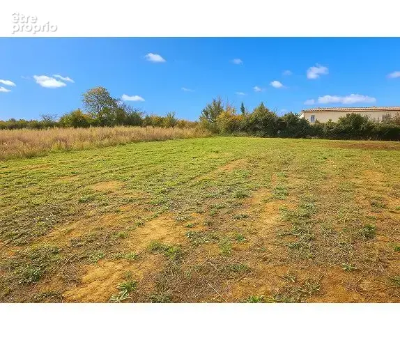 Terrain 558 m² à vendre à Pompertuzat (31450) - photo 2
