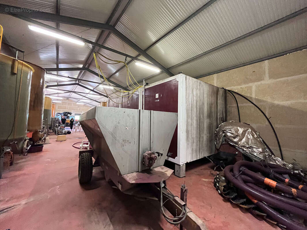 Terrain à SAINT-ANDRE-DE-SANGONIS