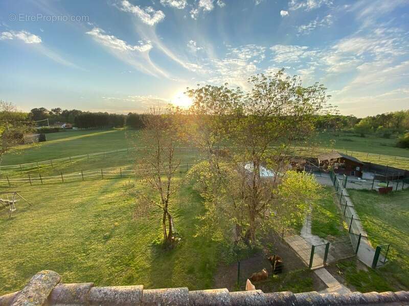 Magnifique propriété - Habitation de 456m² et Hangar de 360m2 à SAINT CHRISTOLY DE BLAYE (33) - photo 3