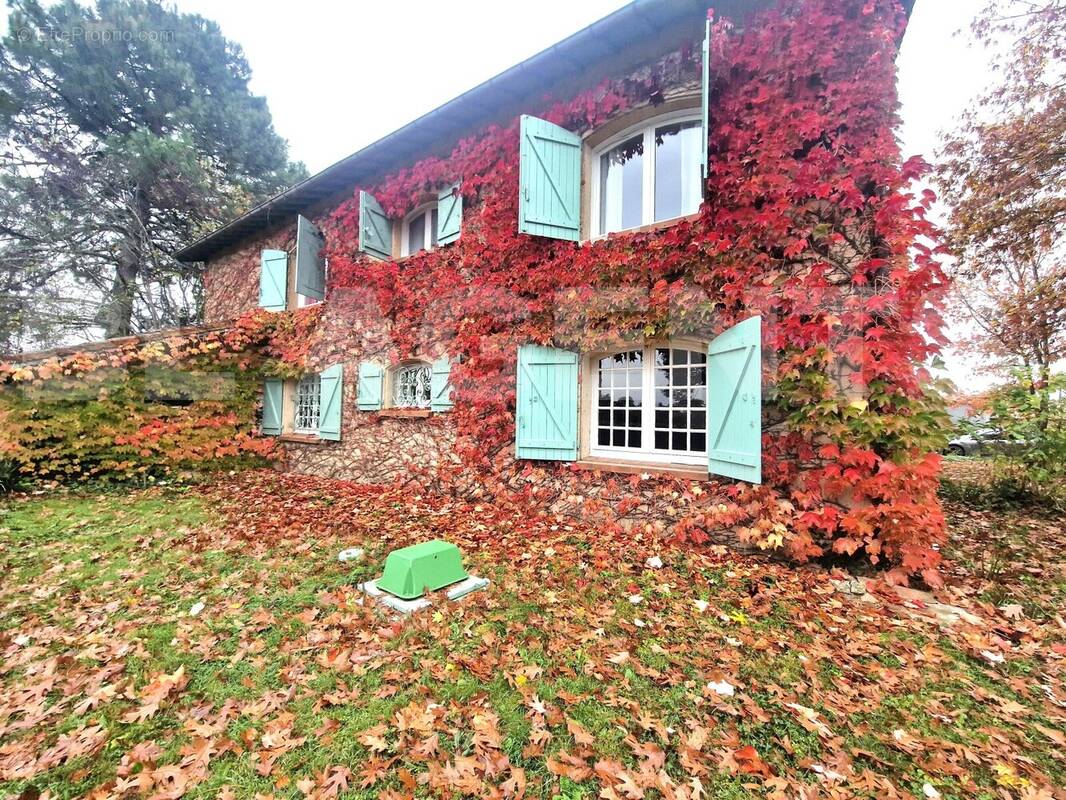 20251029_110814 - Maison à MOISSAC