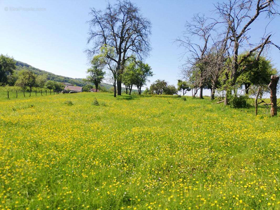 Maison de Village Anchenoncourt et Chazel 165 m2 avec terrain - photo 11