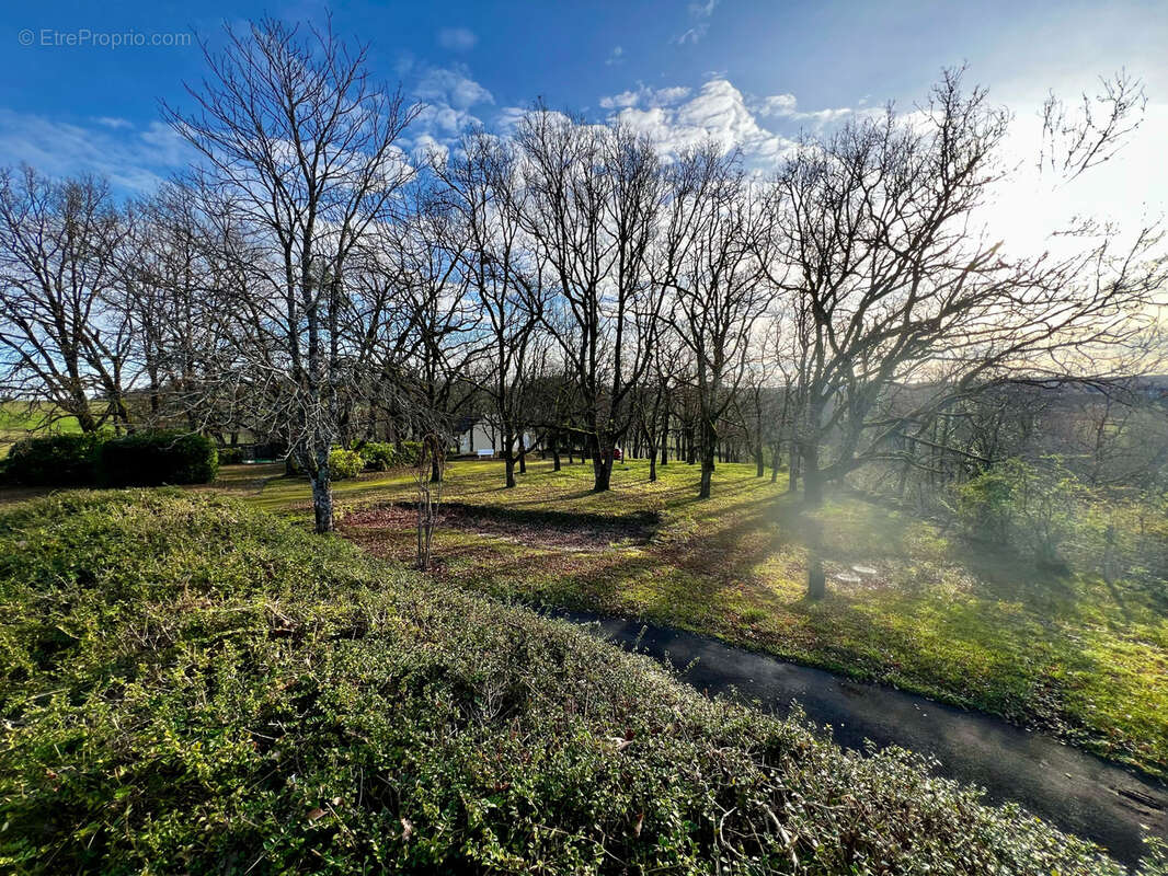 Propriete avec parc noailles - photo 14